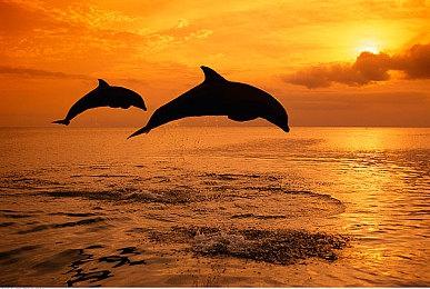 第一人称恐怖冒险游戏《扭曲之塔》现已推出试玩Demo