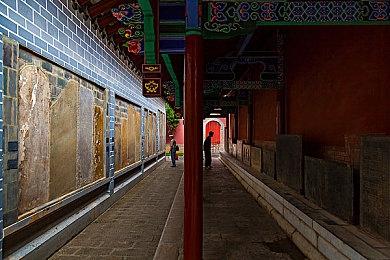 游骑兵解释《乐高地平线大冒险》为何登陆Switch：游戏适合所有人