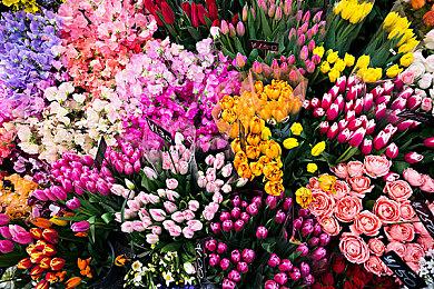 开放世界元宇宙游戏《仙剑世界》4月20日发布概念PV